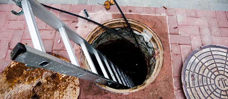 Emergency Sewer Replacement Services in Old Toronto, Toronto