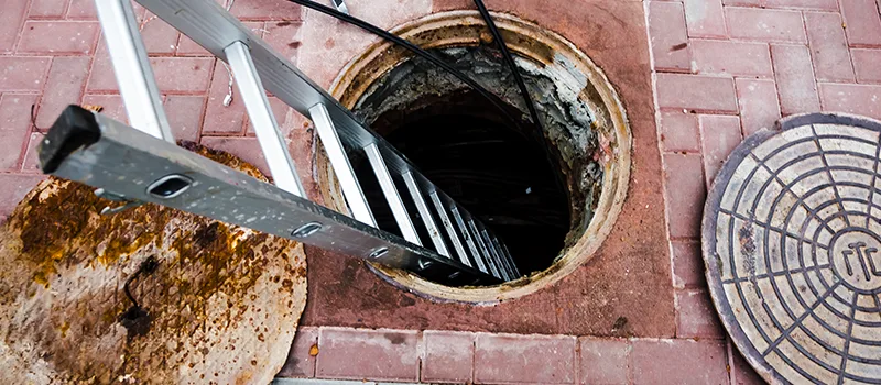 Drain Maintenance Service Near Me in Old Toronto, Toronto